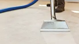 Carpet cleaning wand head gliding over a light carpet during hot-water extraction, Long Beach, CA.
