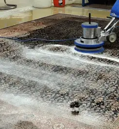 Professional rug cleaning with a rotary floor machine and shampoo foam, deep-cleaning an area rug Long Beach, CA.